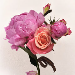 Scent Layering Trio Y5