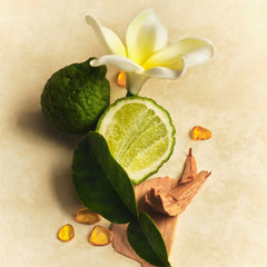 Lotion and Mist Duo Q5